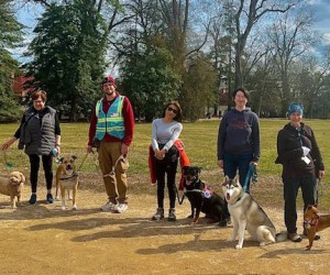 group of people outside with their dogs on leashes getting ready for a group walk